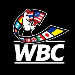 Fit Warrior WBC® My Blood Is Green, My Heart Is Gold Hoodie WBC Collection